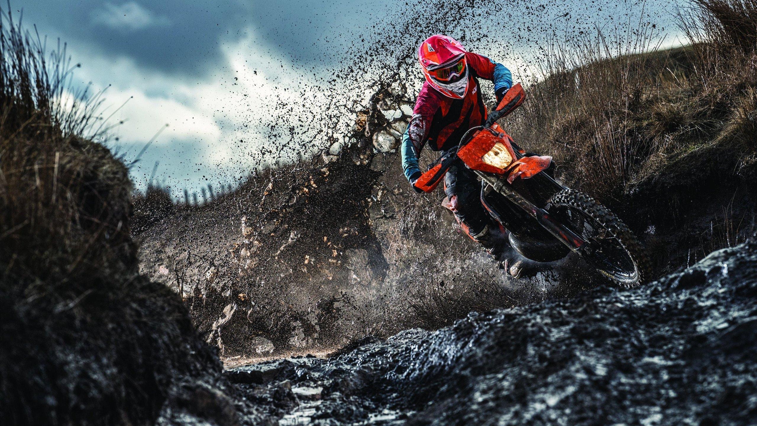 弗利克：我什么都没说，裁判为什么给我红牌？