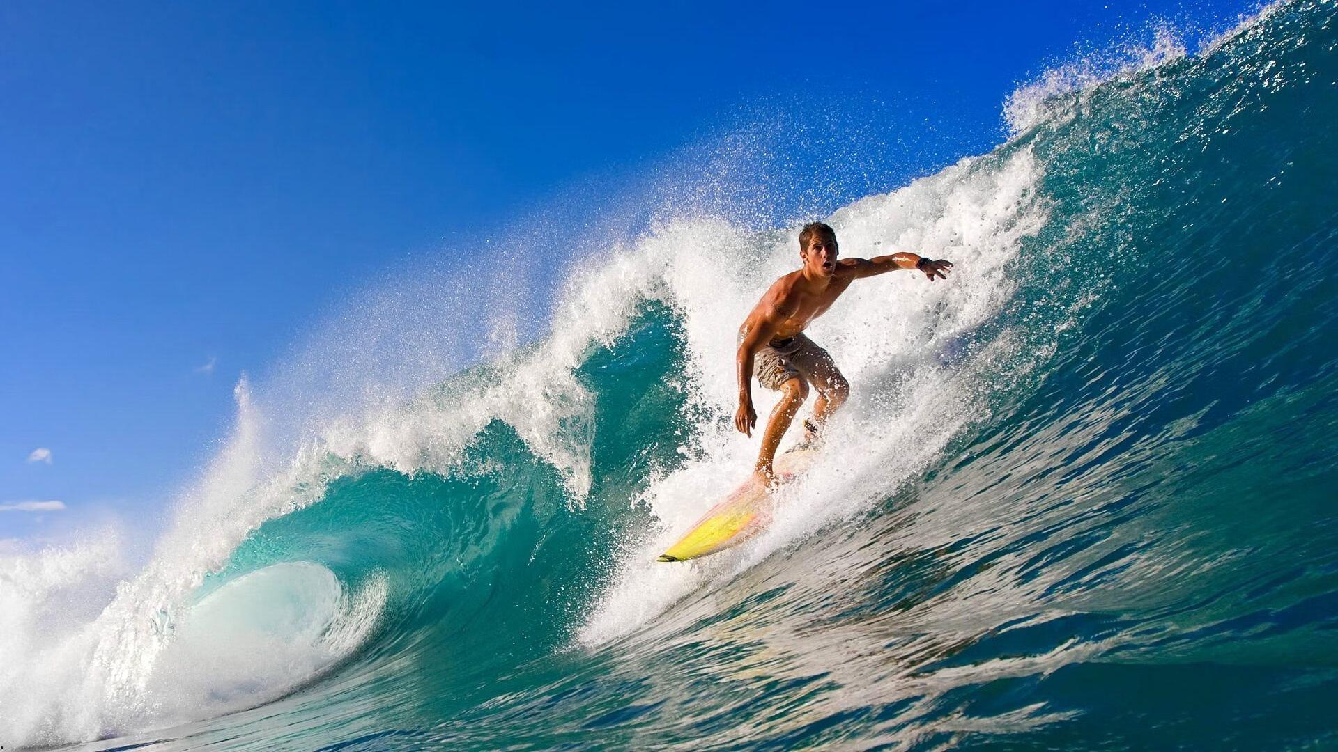 朱婷深情致敬恩师郎平获终身成就奖，是您在我最迷茫时点醒我